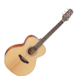 Takamine G20 Akustikgitarre